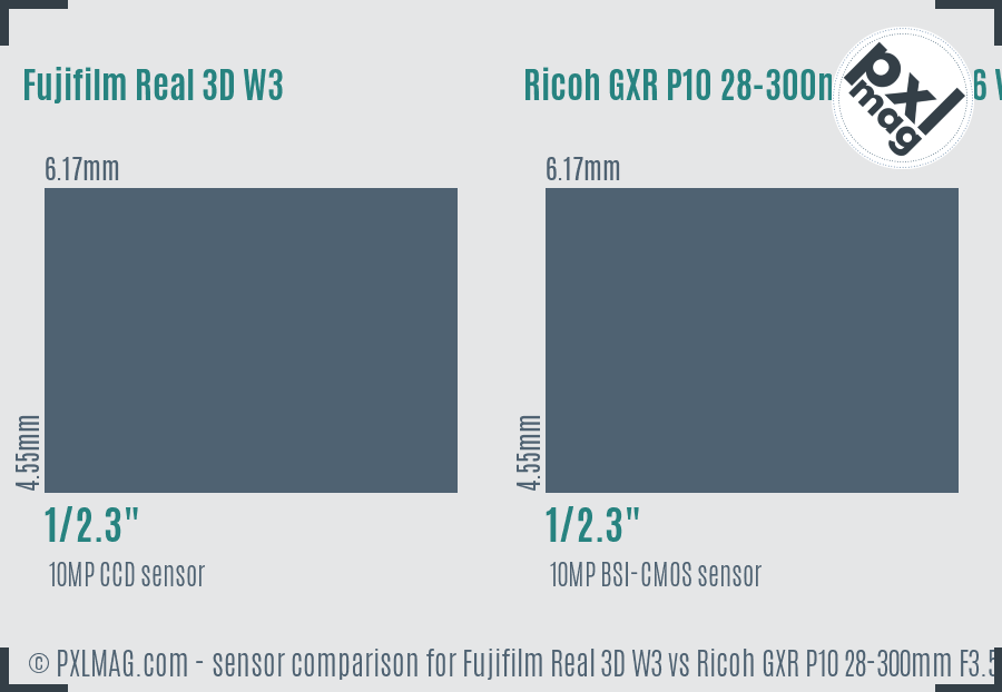 Fujifilm Real 3D W3 vs Ricoh GXR P10 28-300mm F3.5-5.6 VC sensor size comparison