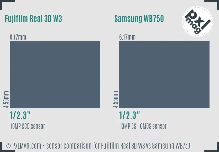 Fujifilm Real 3D W3 vs Samsung WB750 sensor size comparison