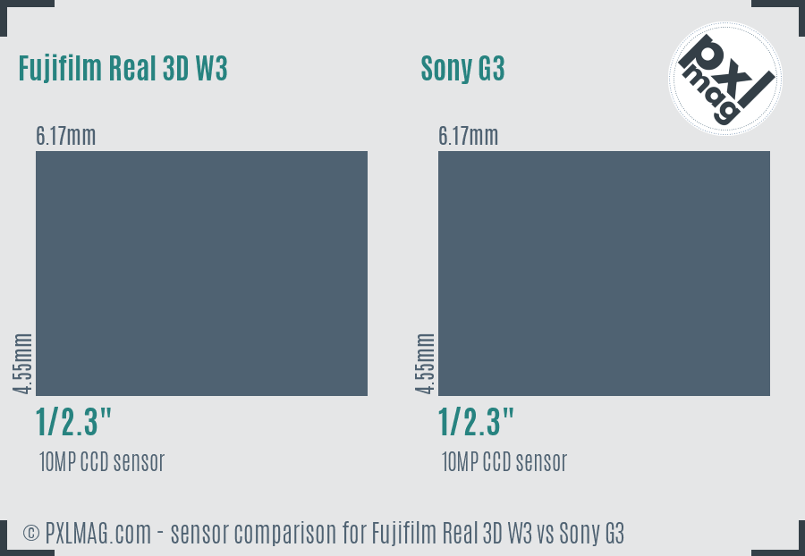 Fujifilm Real 3D W3 vs Sony G3 sensor size comparison