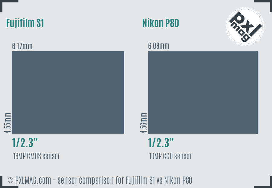 Fujifilm S1 vs Nikon P80 sensor size comparison