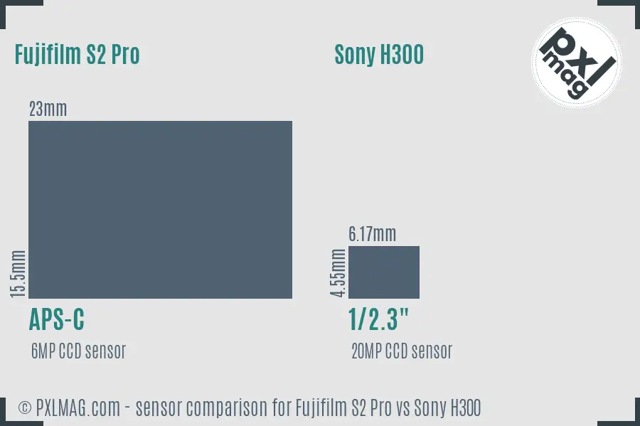 Fujifilm S2 Pro vs Sony H300 sensor size comparison