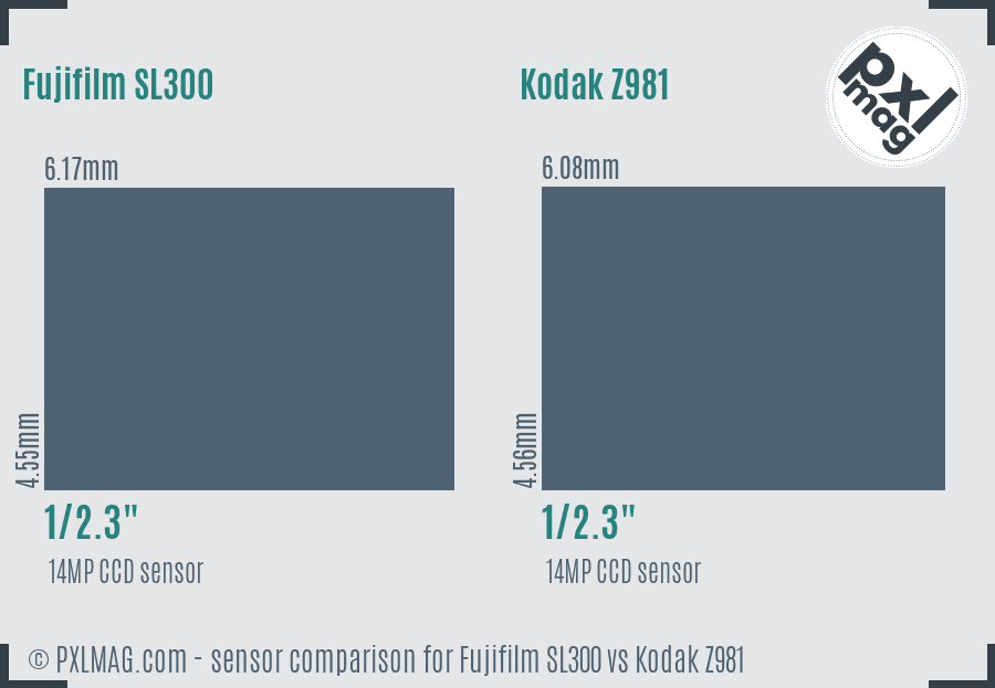 Fujifilm SL300 vs Kodak Z981 sensor size comparison