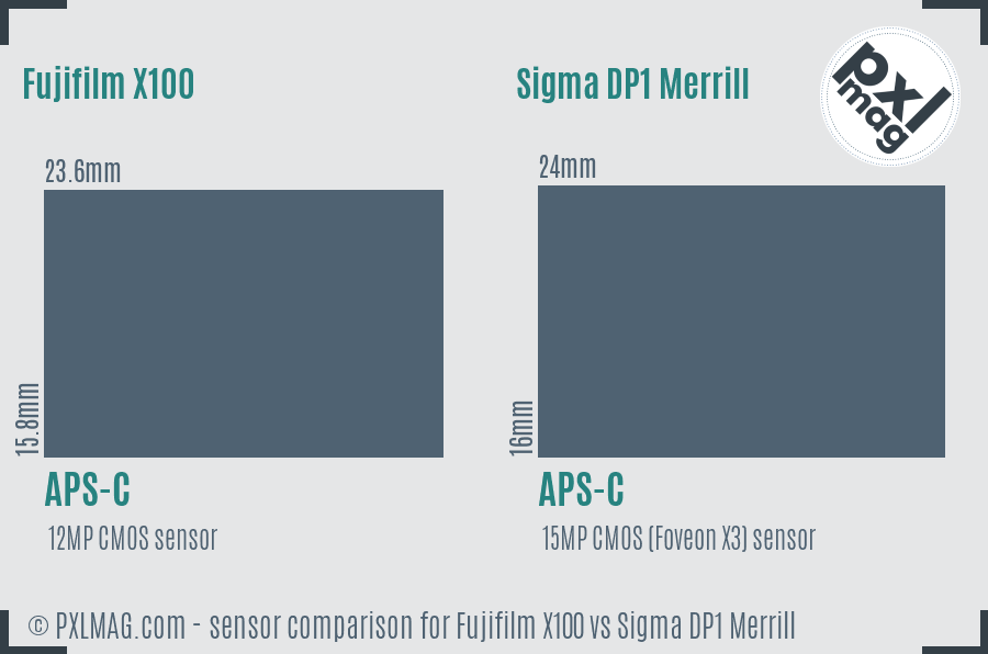 Fujifilm X100 vs Sigma DP1 Merrill sensor size comparison