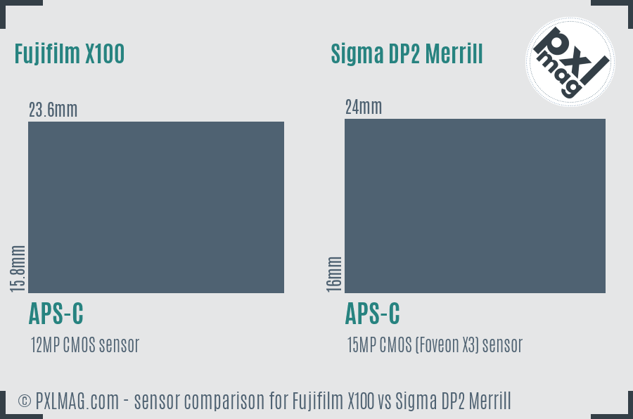 Fujifilm X100 vs Sigma DP2 Merrill sensor size comparison