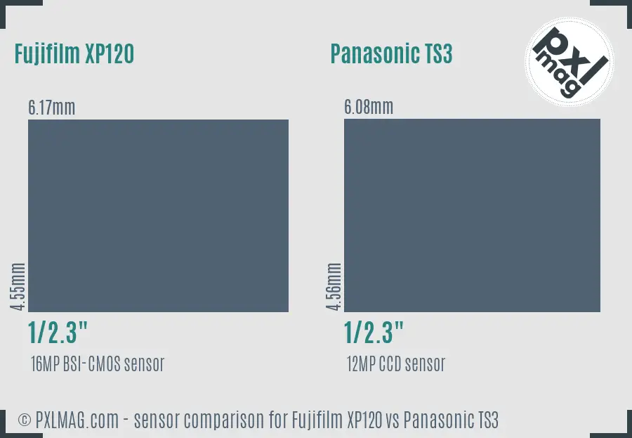 Fujifilm XP120 vs Panasonic TS3 sensor size comparison