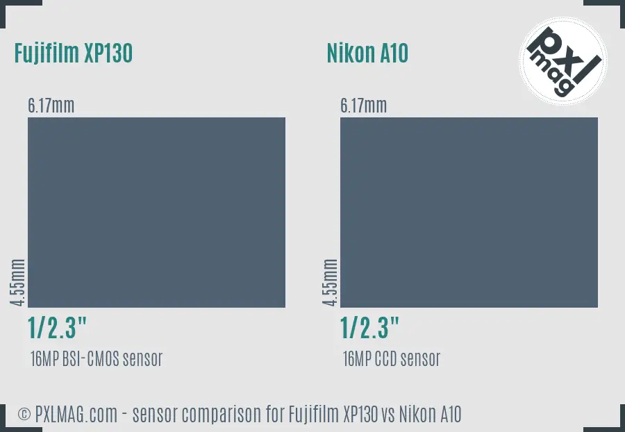 Fujifilm XP130 vs Nikon A10 sensor size comparison