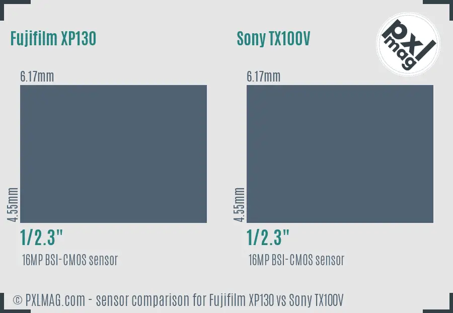 Fujifilm XP130 vs Sony TX100V sensor size comparison