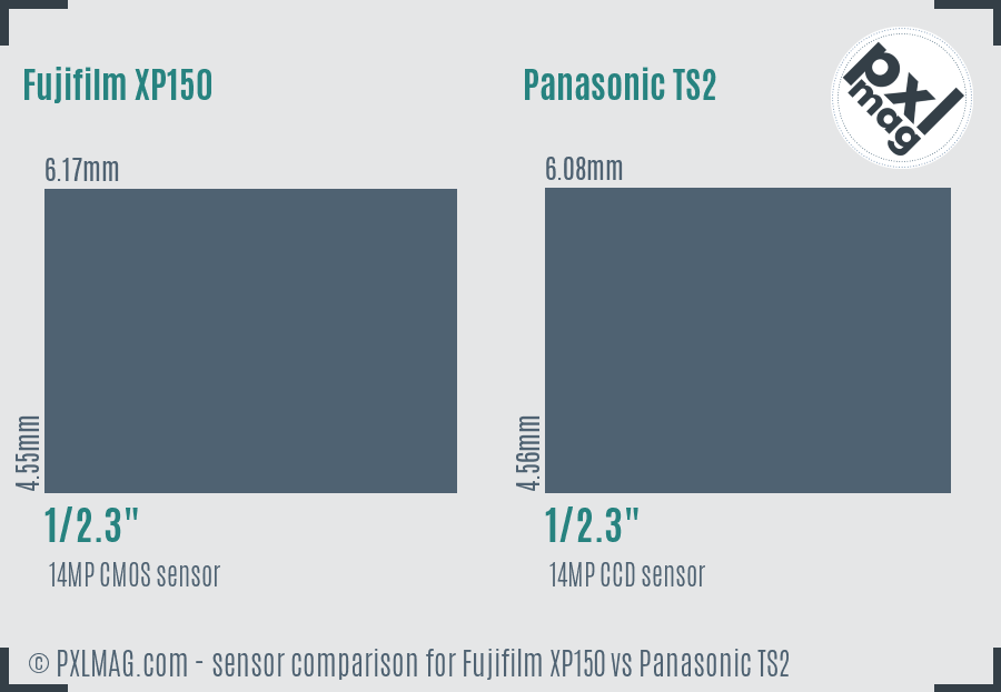 Fujifilm XP150 vs Panasonic TS2 sensor size comparison