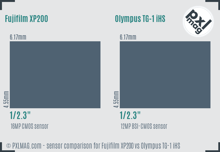 Fujifilm XP200 vs Olympus TG-1 iHS sensor size comparison