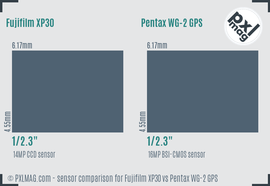 Fujifilm XP30 vs Pentax WG-2 GPS sensor size comparison