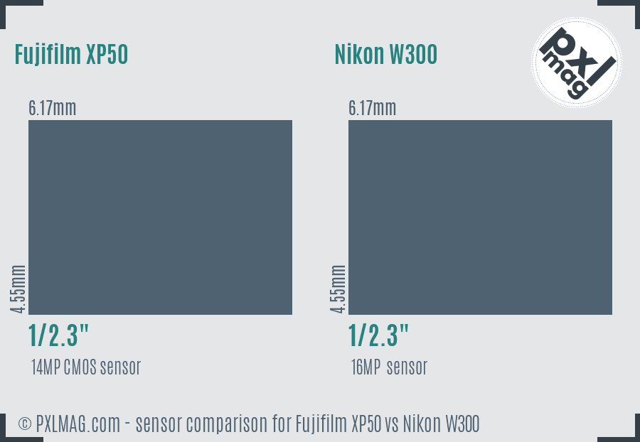Fujifilm XP50 vs Nikon W300 sensor size comparison
