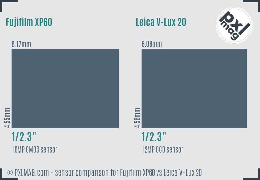 Fujifilm XP60 vs Leica V-Lux 20 sensor size comparison