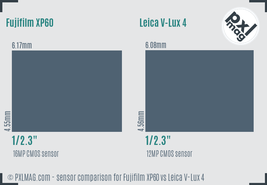 Fujifilm XP60 vs Leica V-Lux 4 sensor size comparison
