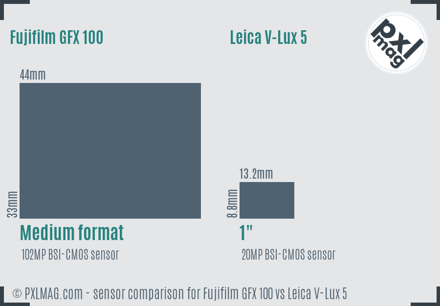 Fujifilm GFX 100 vs Leica V-Lux 5 sensor size comparison