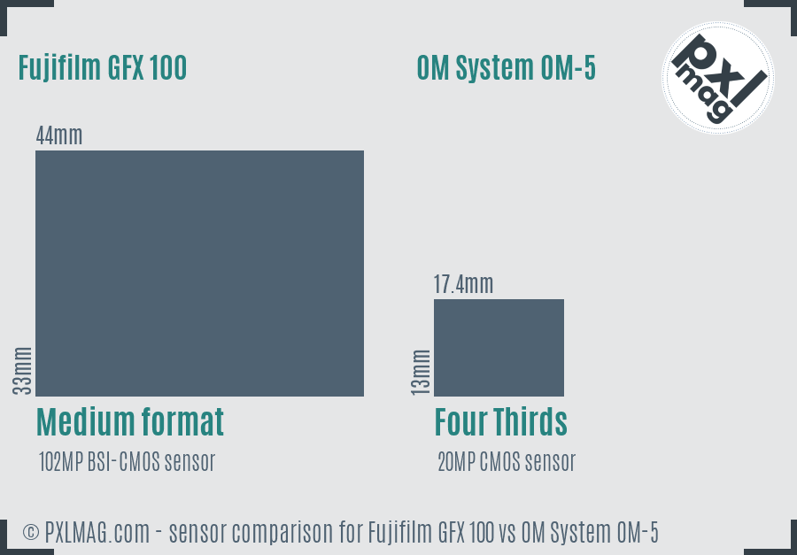 Fujifilm GFX 100 vs OM System OM-5 sensor size comparison Fujifilm GFX 100 vs OM System OM-5 sensor size comparison