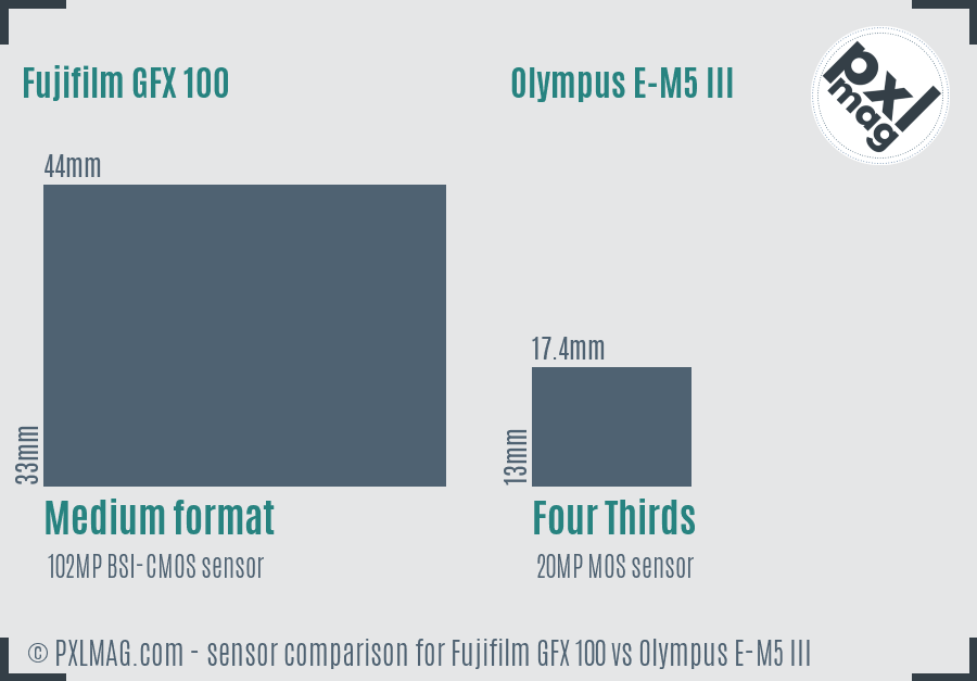 Fujifilm GFX 100 vs Olympus E-M5 III sensor size comparison
