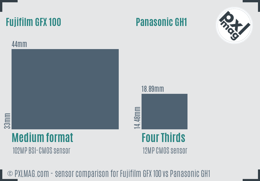Fujifilm GFX 100 vs Panasonic GH1 sensor size comparison