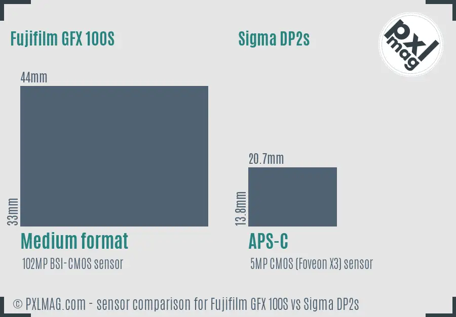 Fujifilm GFX 100S vs Sigma DP2s sensor size comparison
