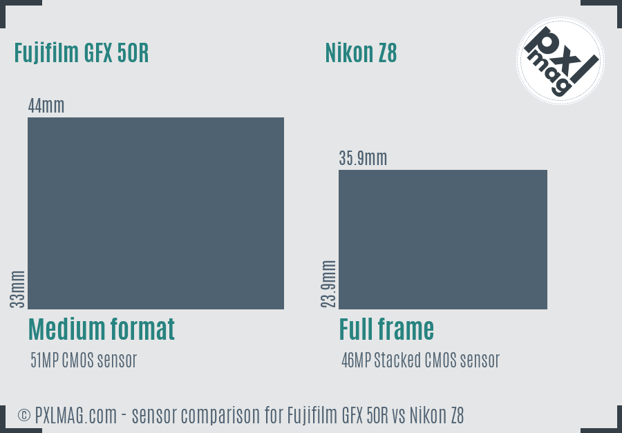 Fujifilm GFX 50R vs Nikon Z8 sensor size comparison