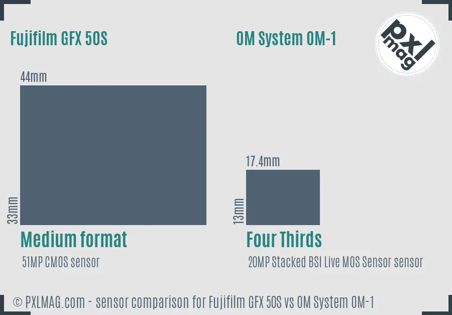 Fujifilm GFX 50S vs OM System OM-1 sensor size comparison