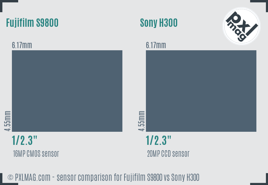 Fujifilm S9800 vs Sony H300 sensor size comparison