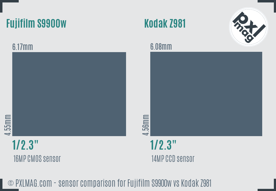 Fujifilm S9900w vs Kodak Z981 sensor size comparison