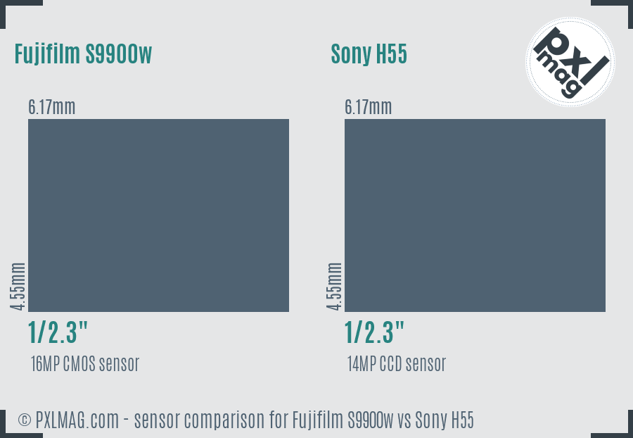Fujifilm S9900w vs Sony H55 sensor size comparison