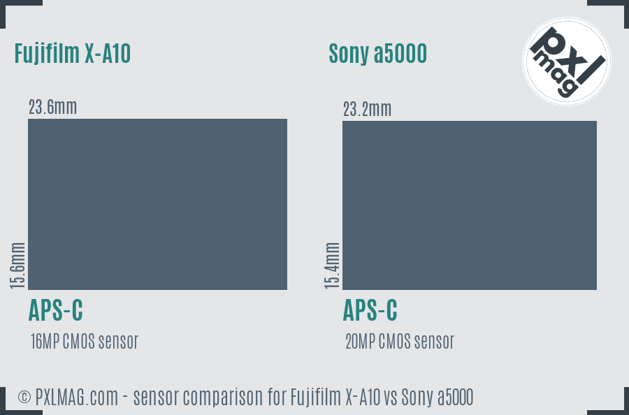 Fujifilm X-A10 vs Sony a5000 sensor size comparison