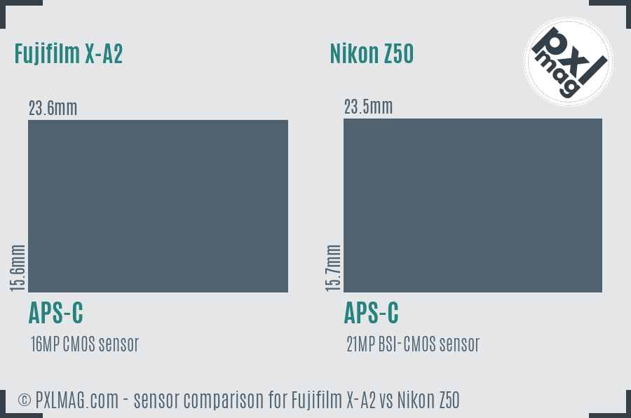 Fujifilm X-A2 vs Nikon Z50 sensor size comparison