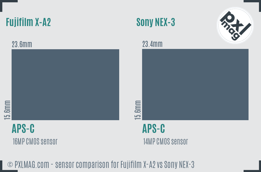 Fujifilm X-A2 vs Sony NEX-3 sensor size comparison