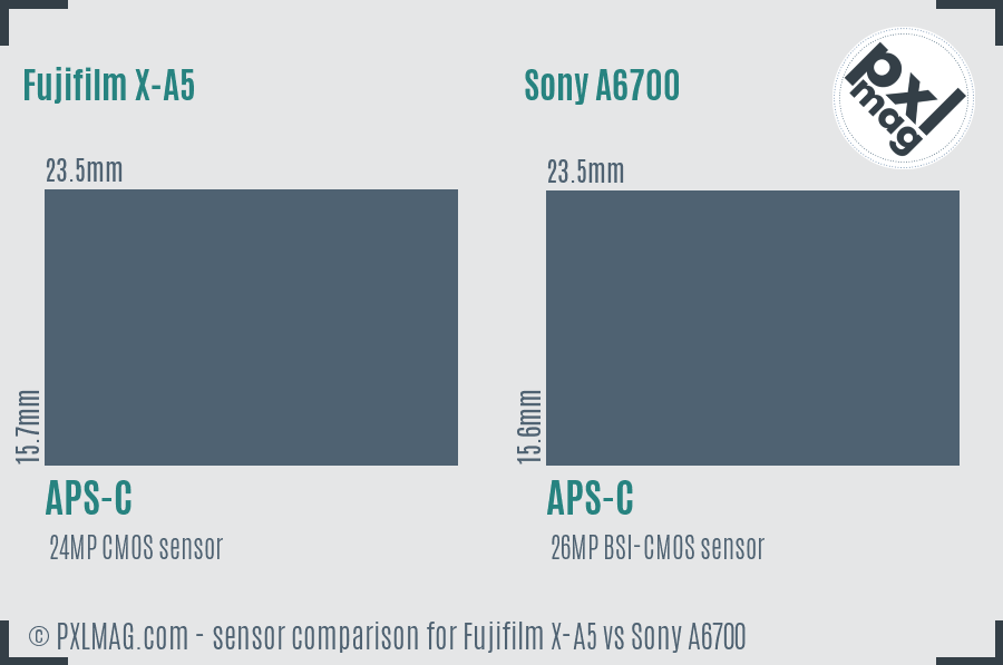 Fujifilm X-A5 vs Sony A6700 sensor size comparison