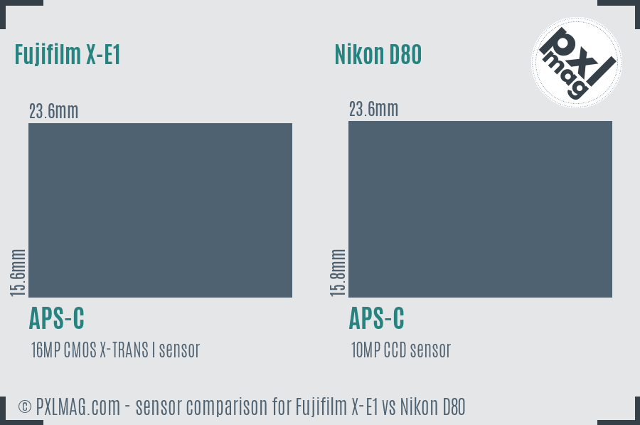 Fujifilm X-E1 vs Nikon D80 sensor size comparison