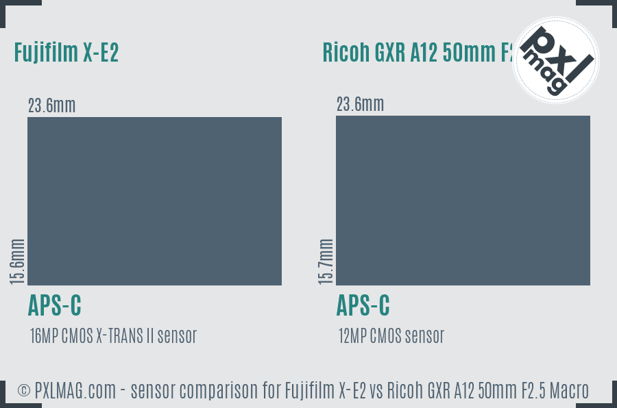 Fujifilm X-E2 vs Ricoh GXR A12 50mm F2.5 Macro sensor size comparison Fujifilm X-E2 vs Ricoh GXR A12 50mm F2.5 Macro sensor size comparison
