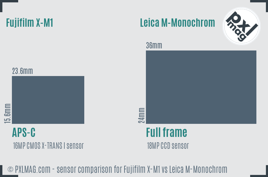 Fujifilm X-M1 vs Leica M-Monochrom sensor size comparison