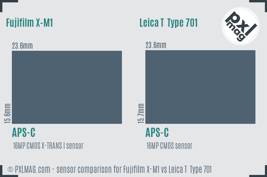 Fujifilm X-M1 vs Leica T  Type 701 sensor size comparison