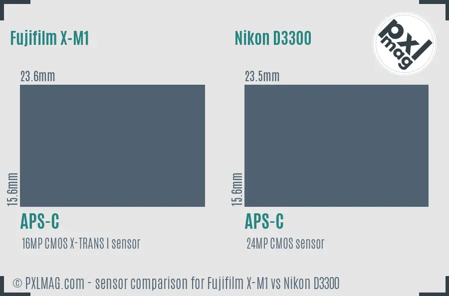 Fujifilm X-M1 vs Nikon D3300 sensor size comparison