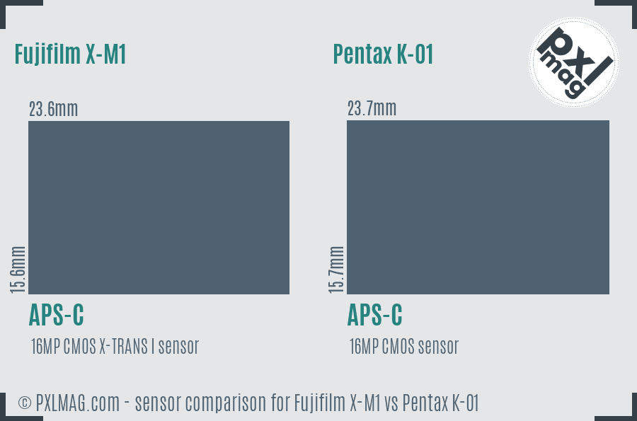 Fujifilm X-M1 vs Pentax K-01 sensor size comparison