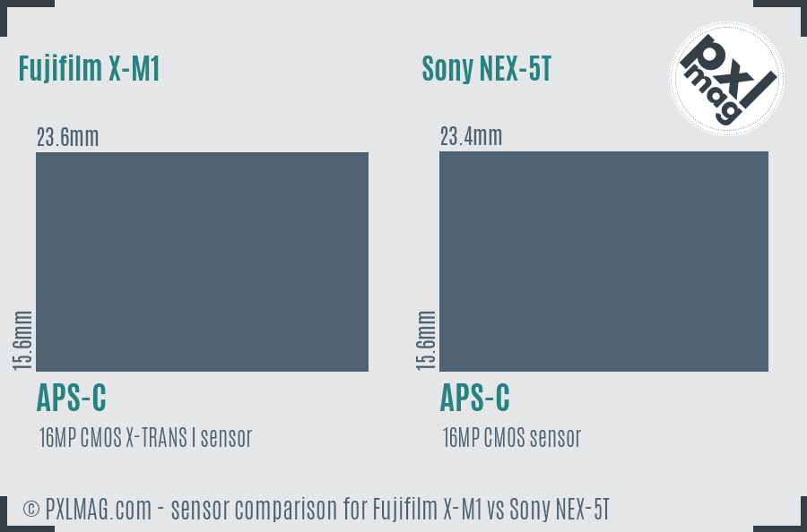 Fujifilm X-M1 vs Sony NEX-5T sensor size comparison