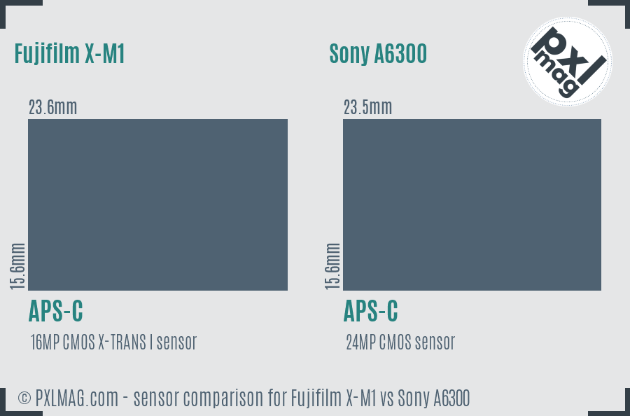 Fujifilm X-M1 vs Sony A6300 sensor size comparison