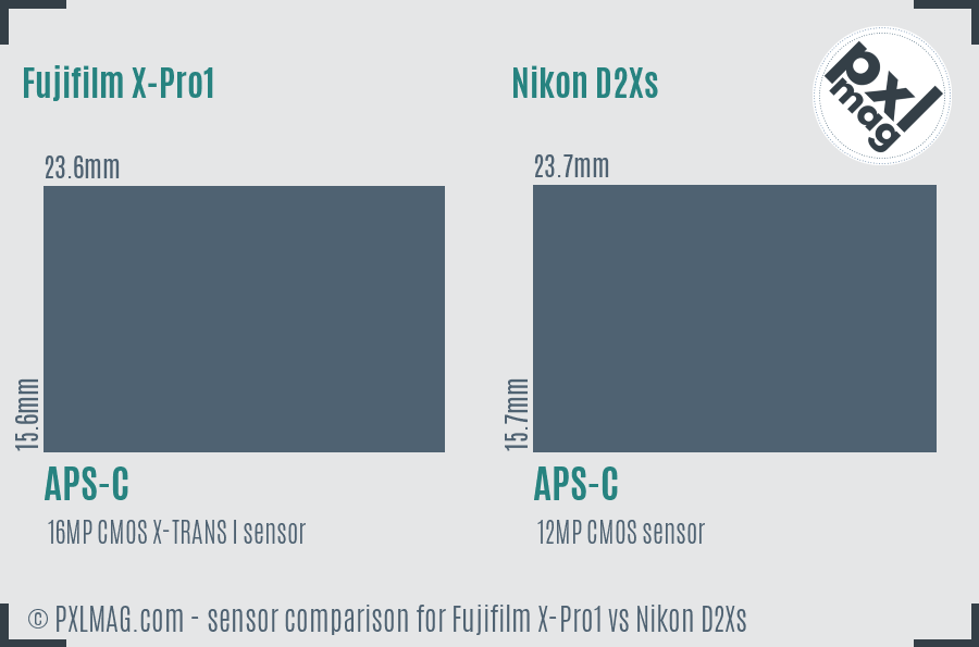 Fujifilm X-Pro1 vs Nikon D2Xs sensor size comparison