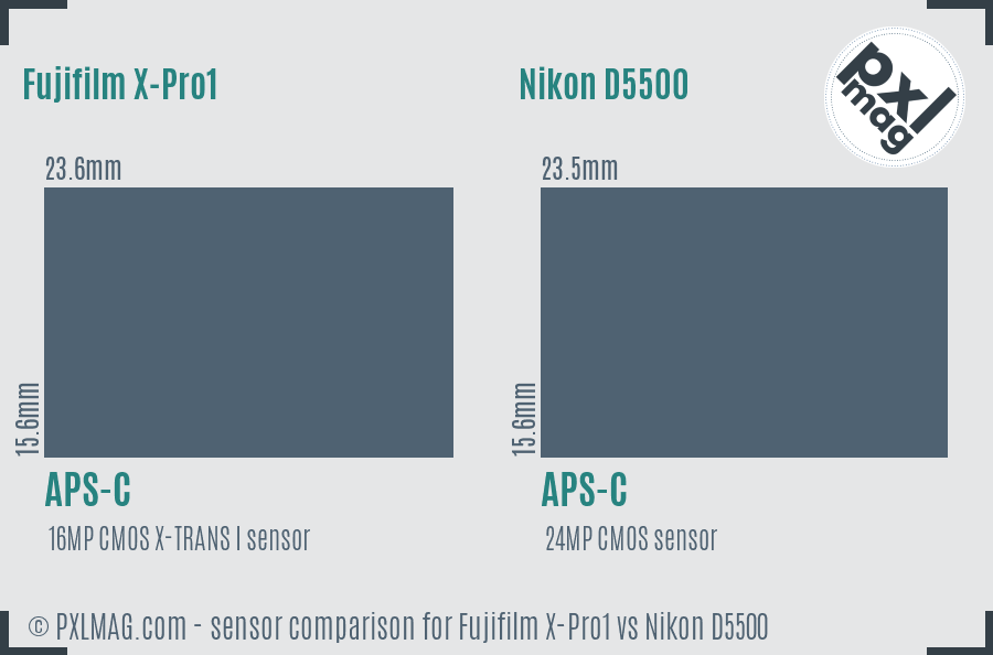 Fujifilm X-Pro1 vs Nikon D5500 sensor size comparison