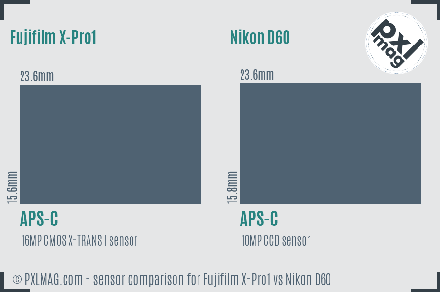 Fujifilm X-Pro1 vs Nikon D60 sensor size comparison