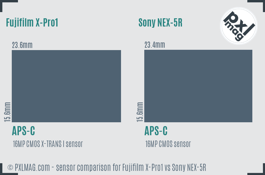 Fujifilm X-Pro1 vs Sony NEX-5R sensor size comparison