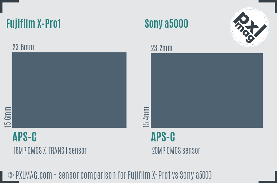 Fujifilm X-Pro1 vs Sony a5000 sensor size comparison