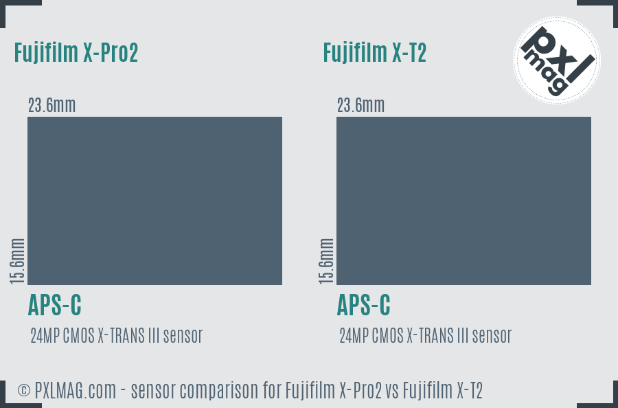 Fujifilm X-Pro2 vs Fujifilm X-T2 sensor size comparison