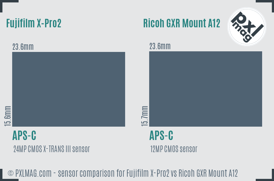 Fujifilm X-Pro2 vs Ricoh GXR Mount A12 sensor size comparison