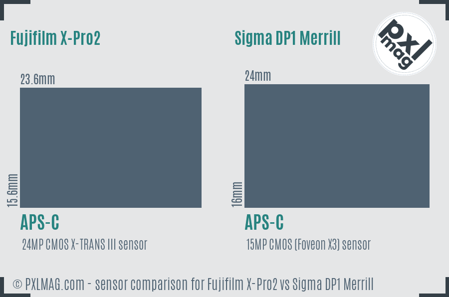 Fujifilm X-Pro2 vs Sigma DP1 Merrill sensor size comparison