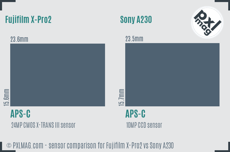 Sensor Size Comparison