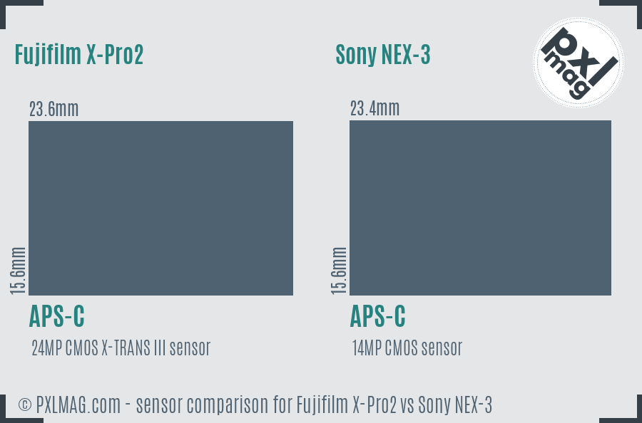 Fujifilm X-Pro2 vs Sony NEX-3 sensor size comparison