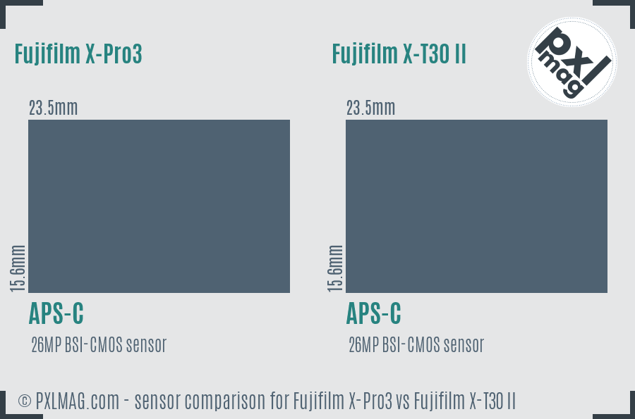 Sensor specifications and image quality discussion